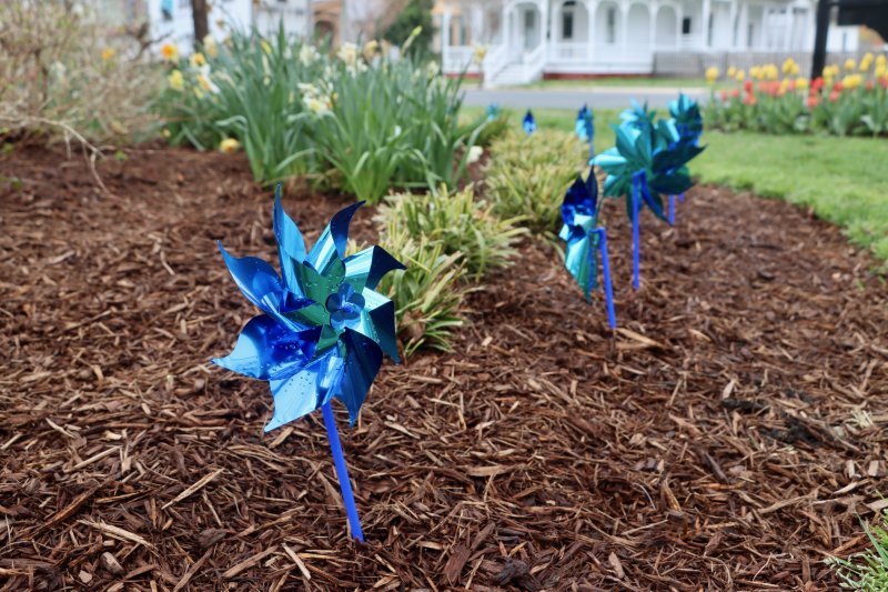 Blue pinwheels in the Zwaanendael Park garden. BILL SHULL PHOTO